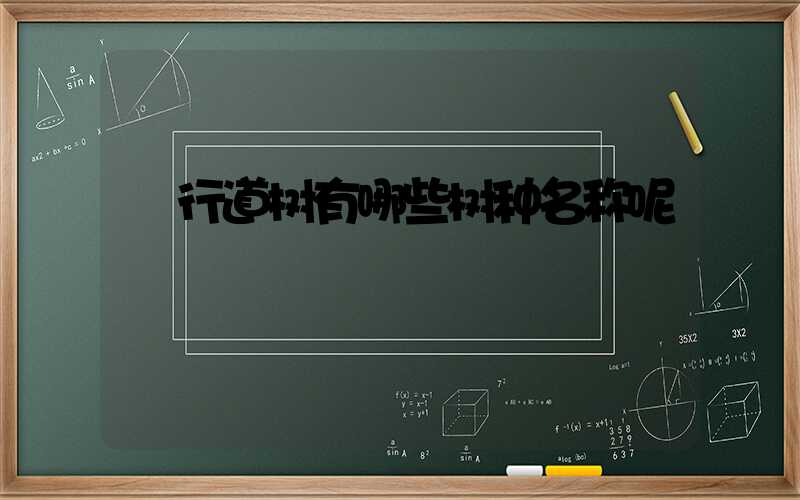  行道树有哪些树种名称呢